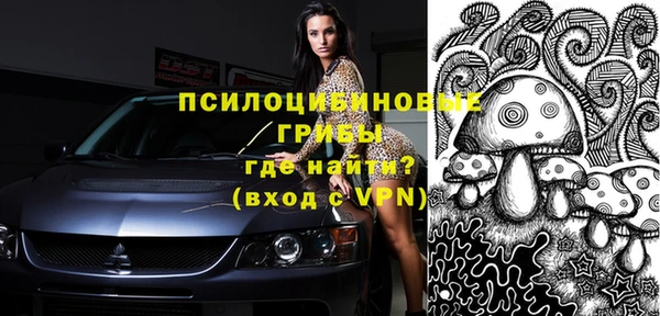 mix Инта