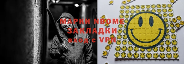 mix Инта